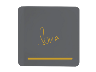 Flash Smart Integrated UHF Reader